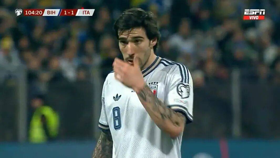 托纳利无缘世界杯更适合曼联引进！单场跑11公里如家常便饭，被视为后腰B费